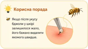 Ілюстрація видалення жала після укусу бджоли. На зображенні показано жало, що залишилося у шкірі, та нагадування видалити його якомога швидше.